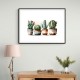 Brown Shades Cactus