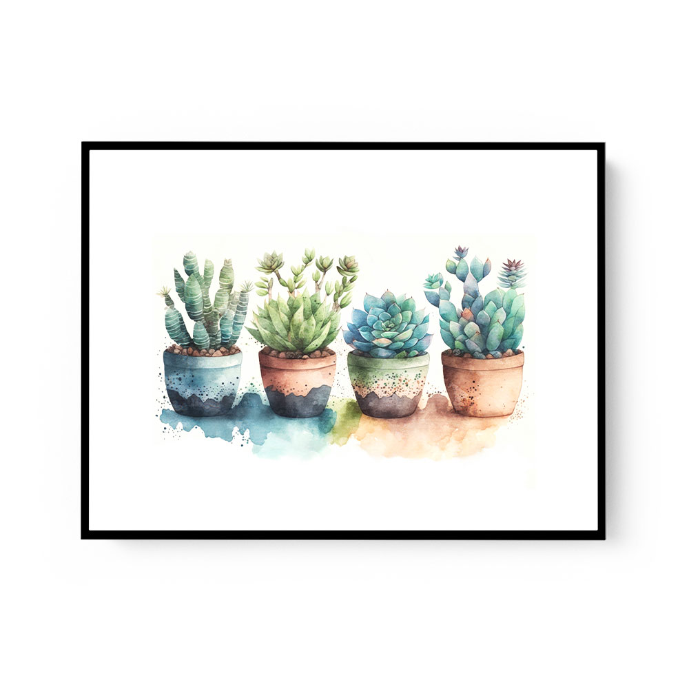 Colorful Succulents