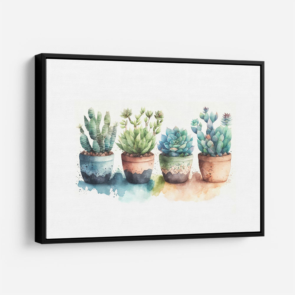 Colorful Succulents