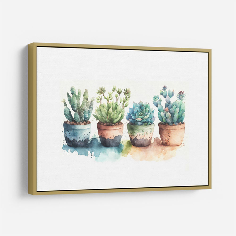 Colorful Succulents