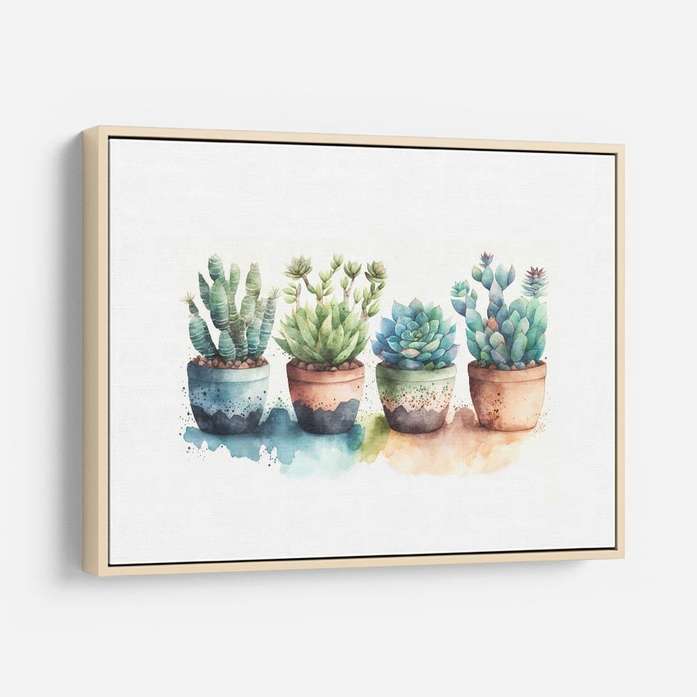 Colorful Succulents