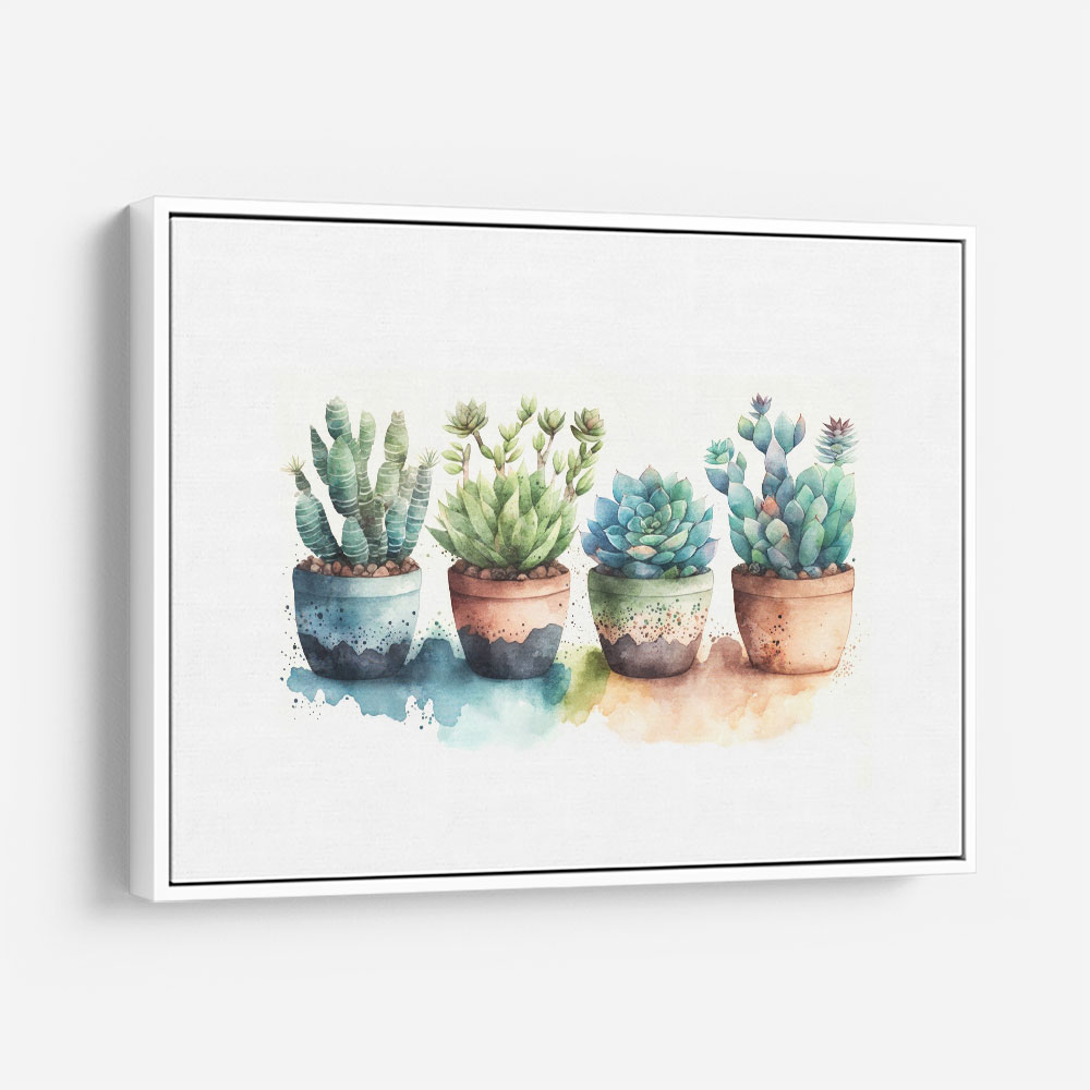 Colorful Succulents