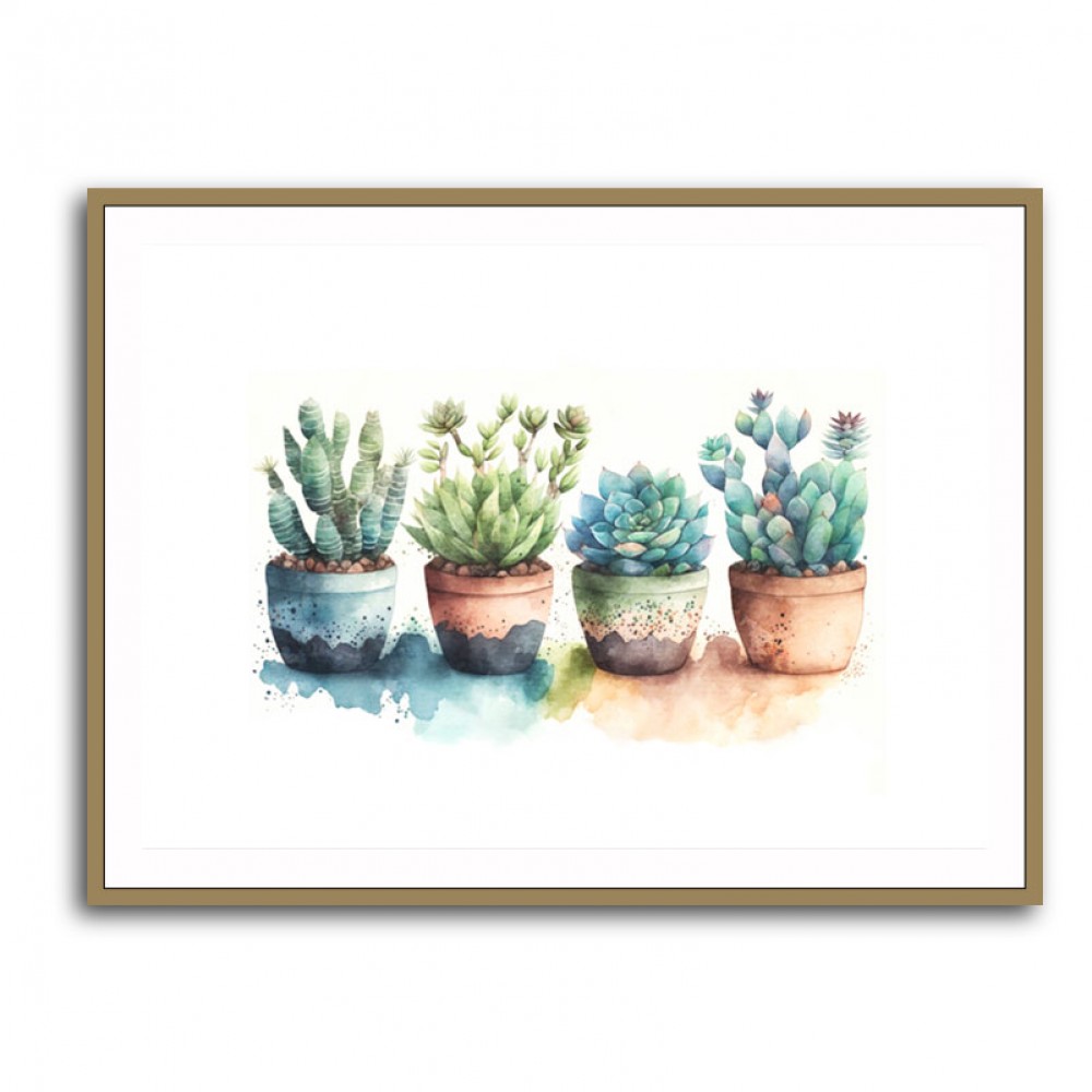 Colorful Succulents