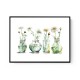 Glass Vases Daisies