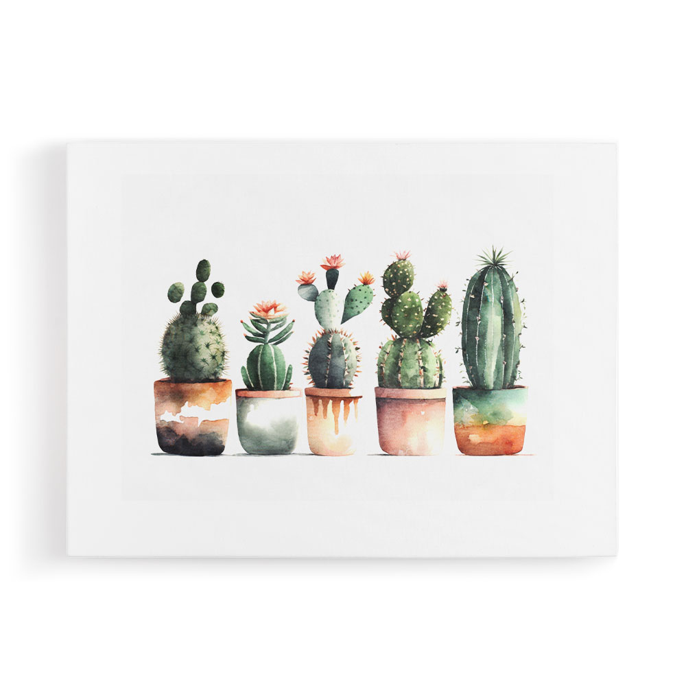 Lights Cacti