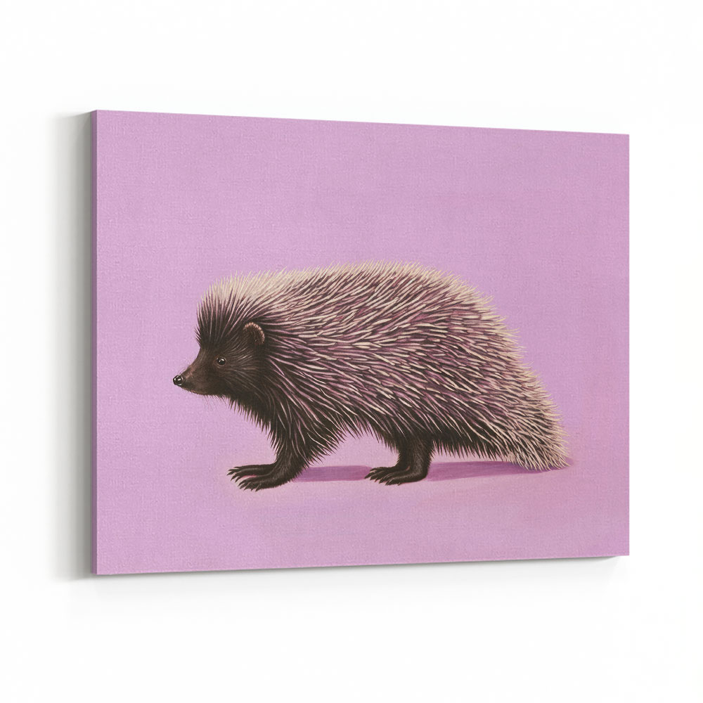 Porcupine Pink