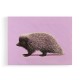 Porcupine Pink