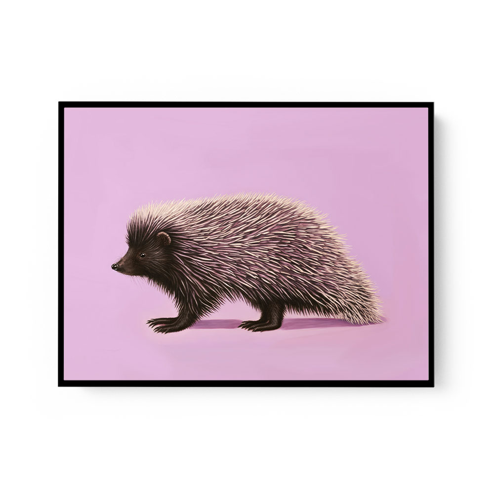 Porcupine Pink