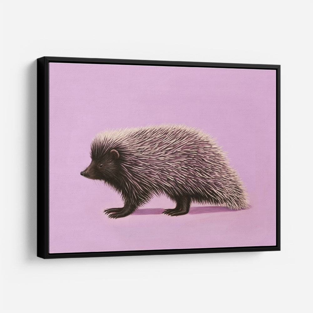 Porcupine Pink