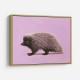 Porcupine Pink