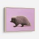 Porcupine Pink