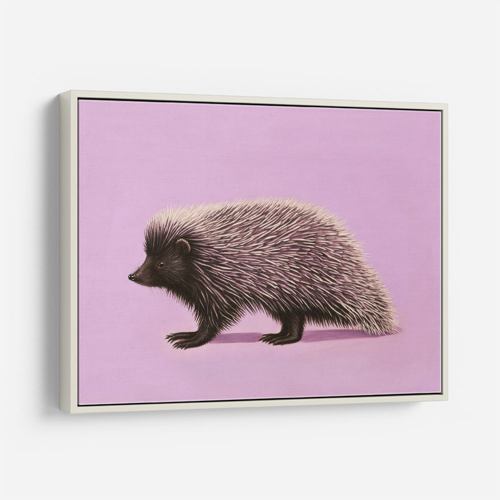 Porcupine Pink