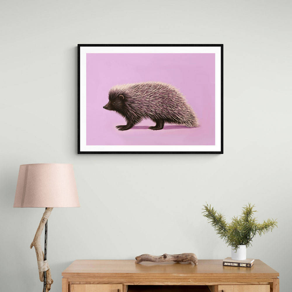 Porcupine Pink