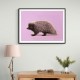 Porcupine Pink