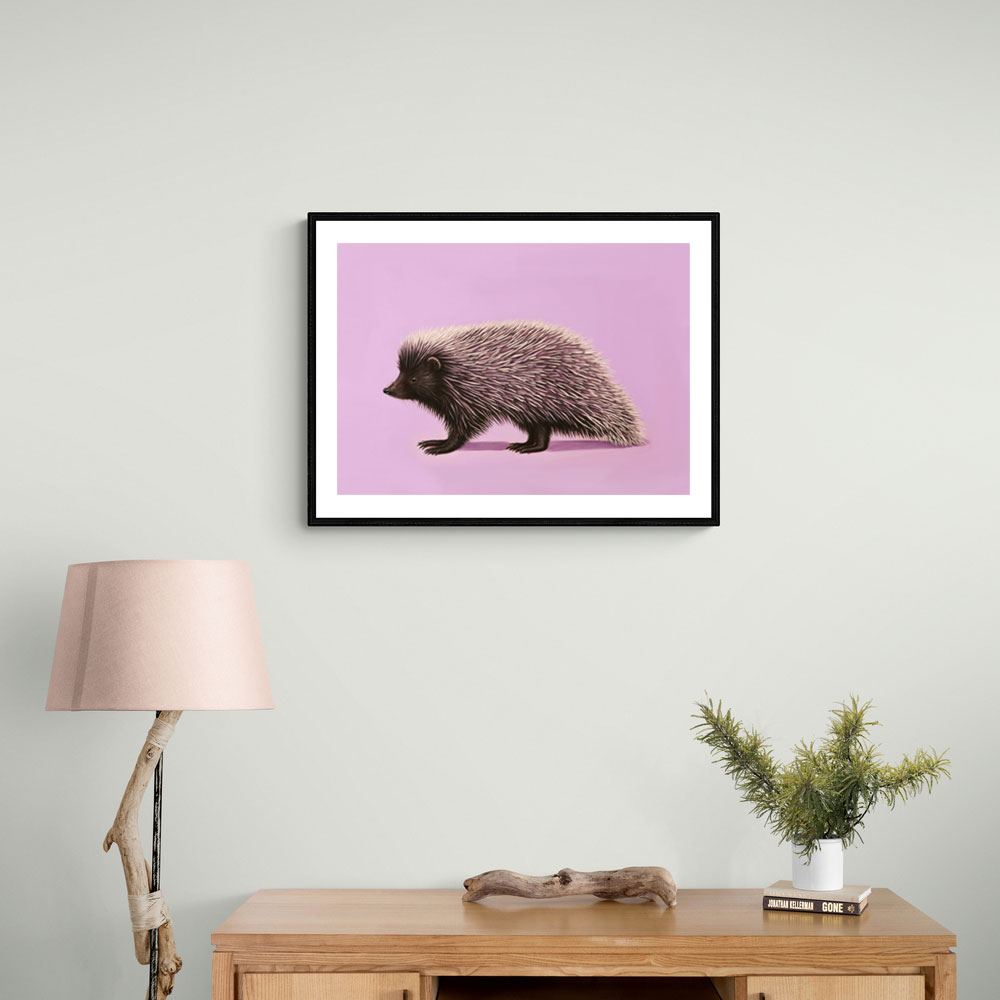 Porcupine Pink