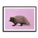 Porcupine Pink