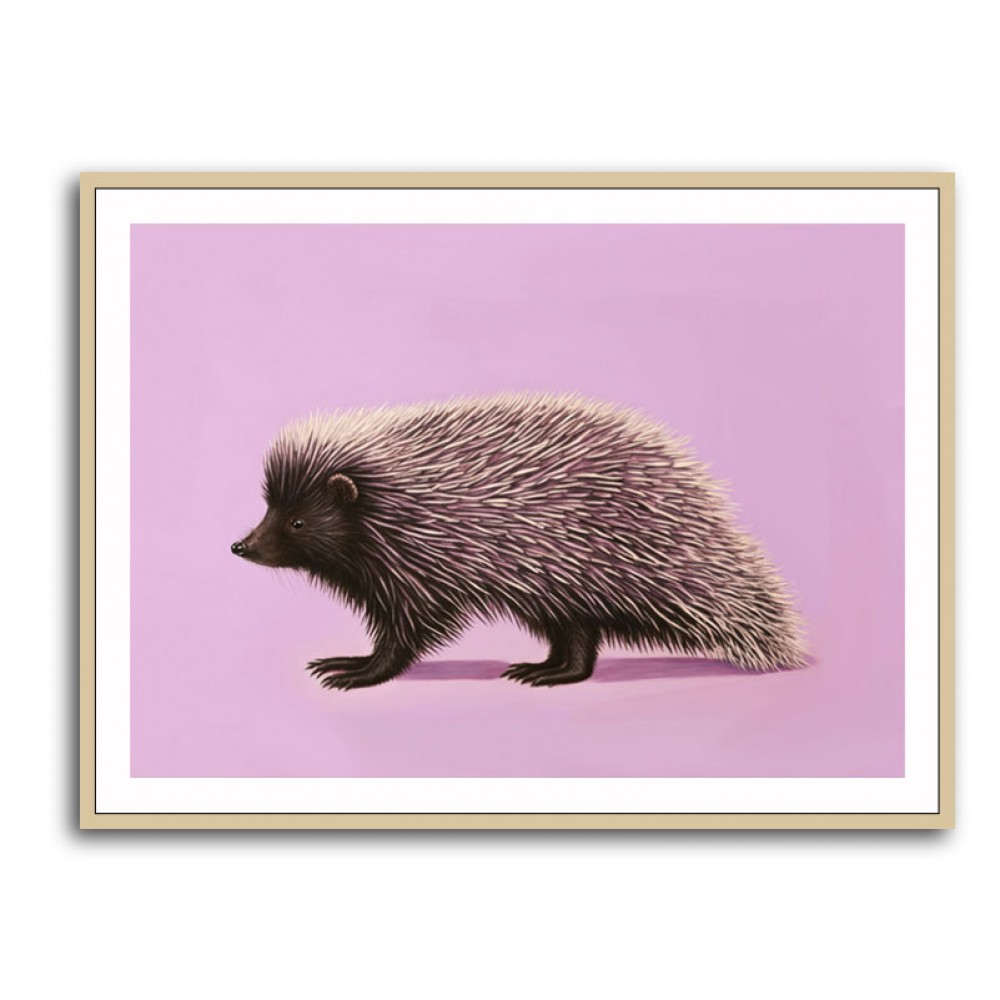 Porcupine Pink