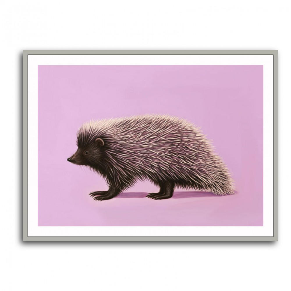 Porcupine Pink