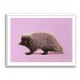 Porcupine Pink