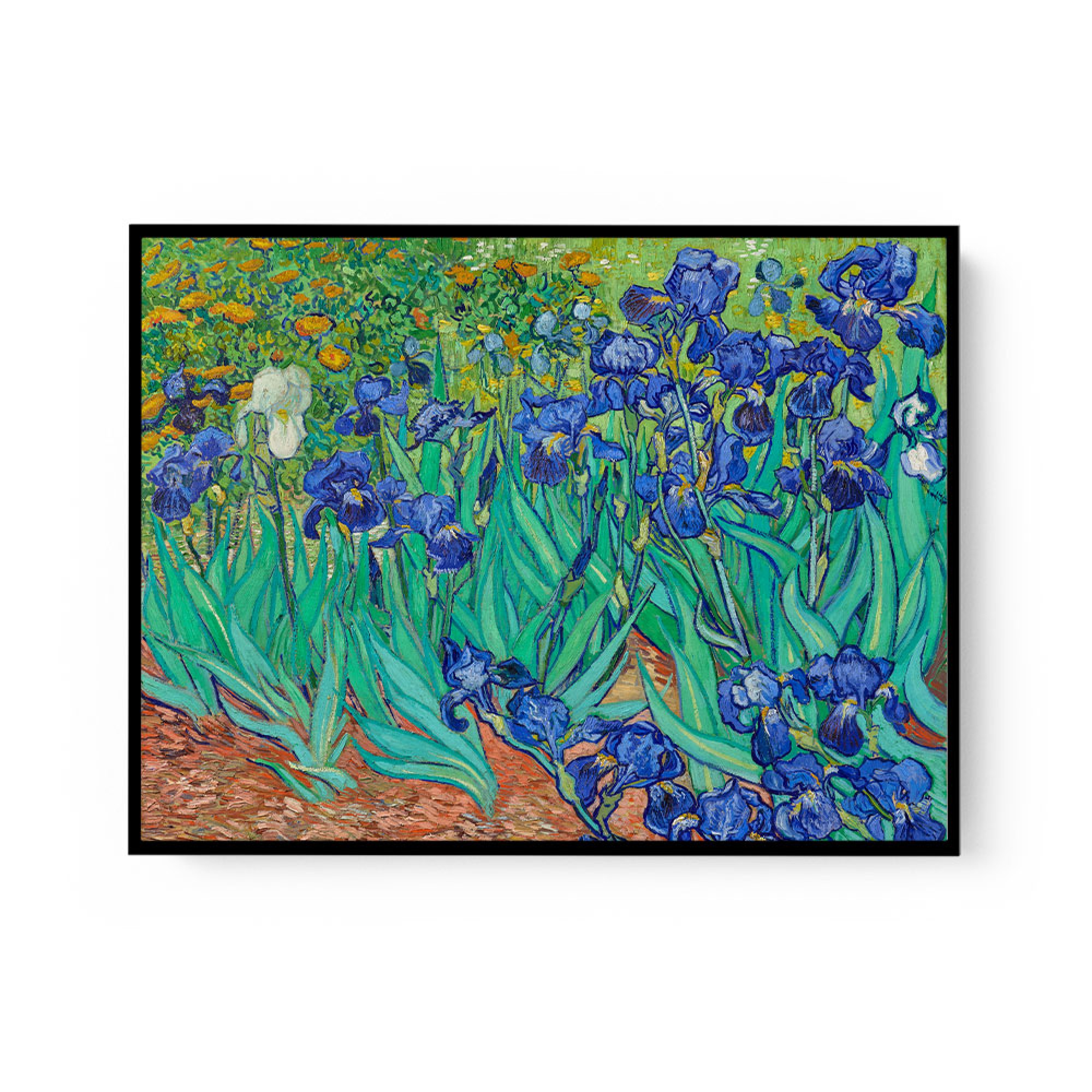 Irises (1889) by Vincent Van Gogh Wall Art