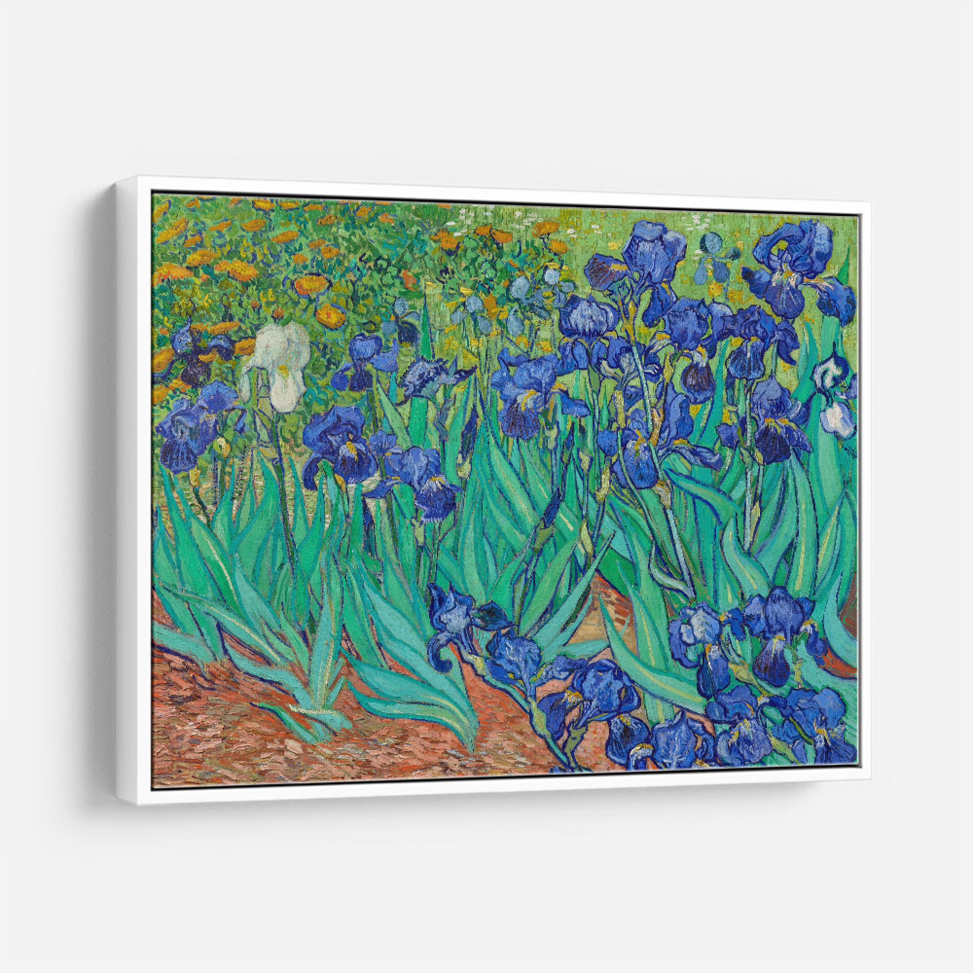 Irises (1889) by Vincent Van Gogh Wall Art