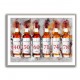 Macallan Red Collection Watercolor