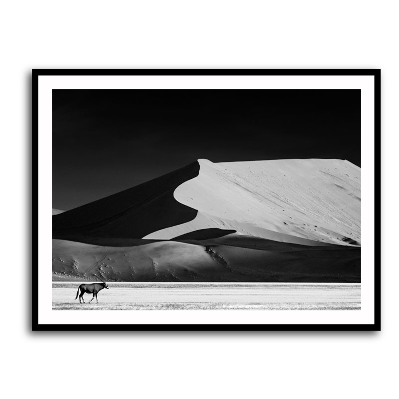 Framed Print 