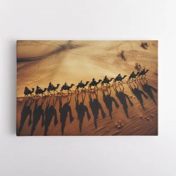 Camel Train Crossing The Desert