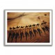 Camel Train Crossing The Desert