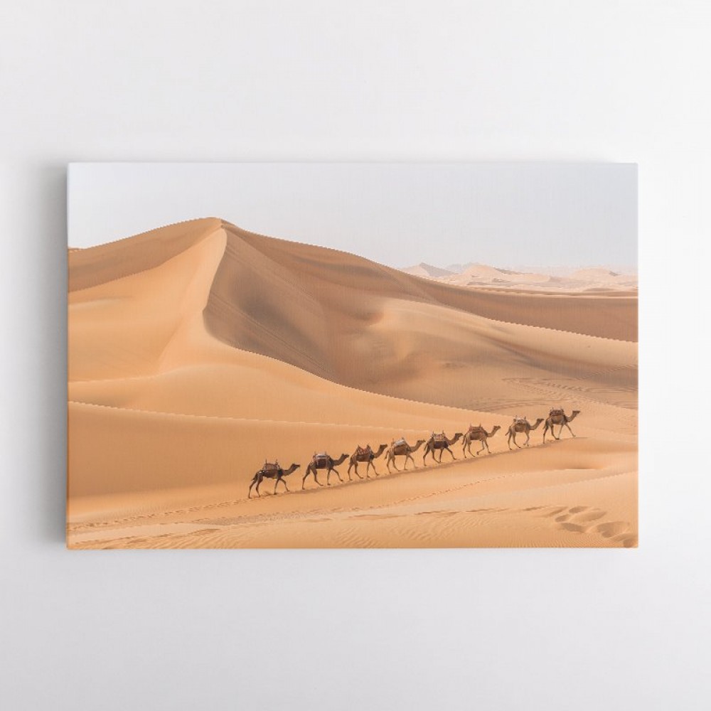 Camel Train