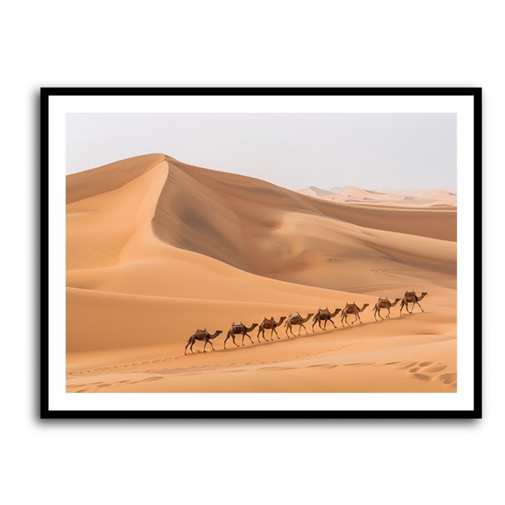 Camel Train