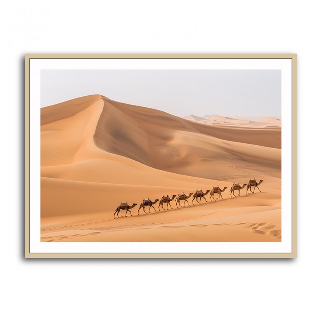 Camel Train