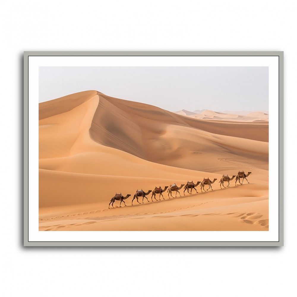 Camel Train