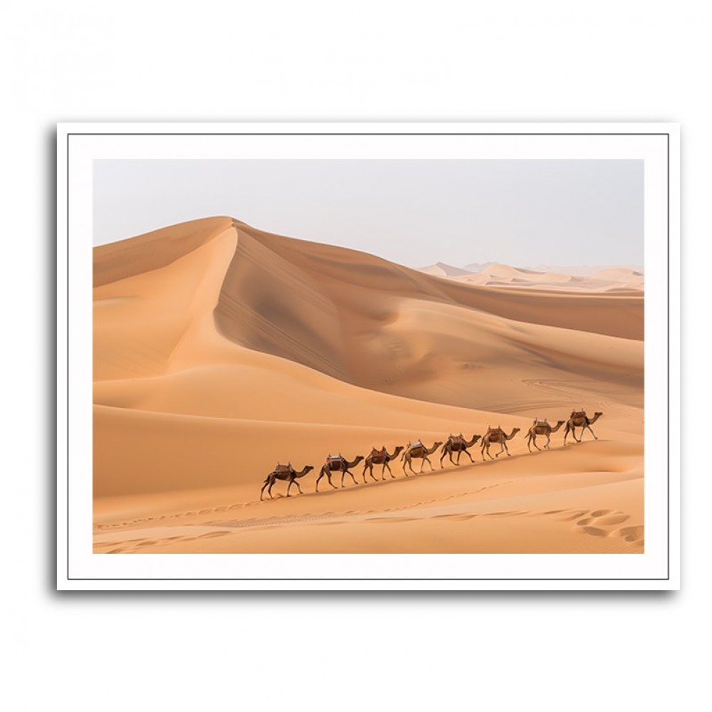 Camel Train