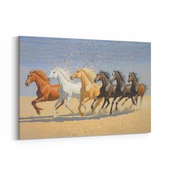 Arabian Horses Galloping