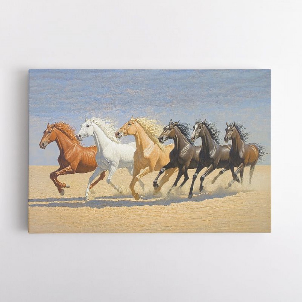 Arabian Horses Galloping