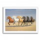 Arabian Horses Galloping