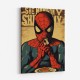 Spiderman Grunge Pop 1 Wall Art