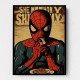 Spiderman Grunge Pop 1 Wall Art