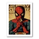 Spiderman Grunge Pop 1 Wall Art