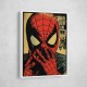 Spiderman Grunge Pop 2 Wall Art