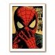 Spiderman Grunge Pop 2 Wall Art