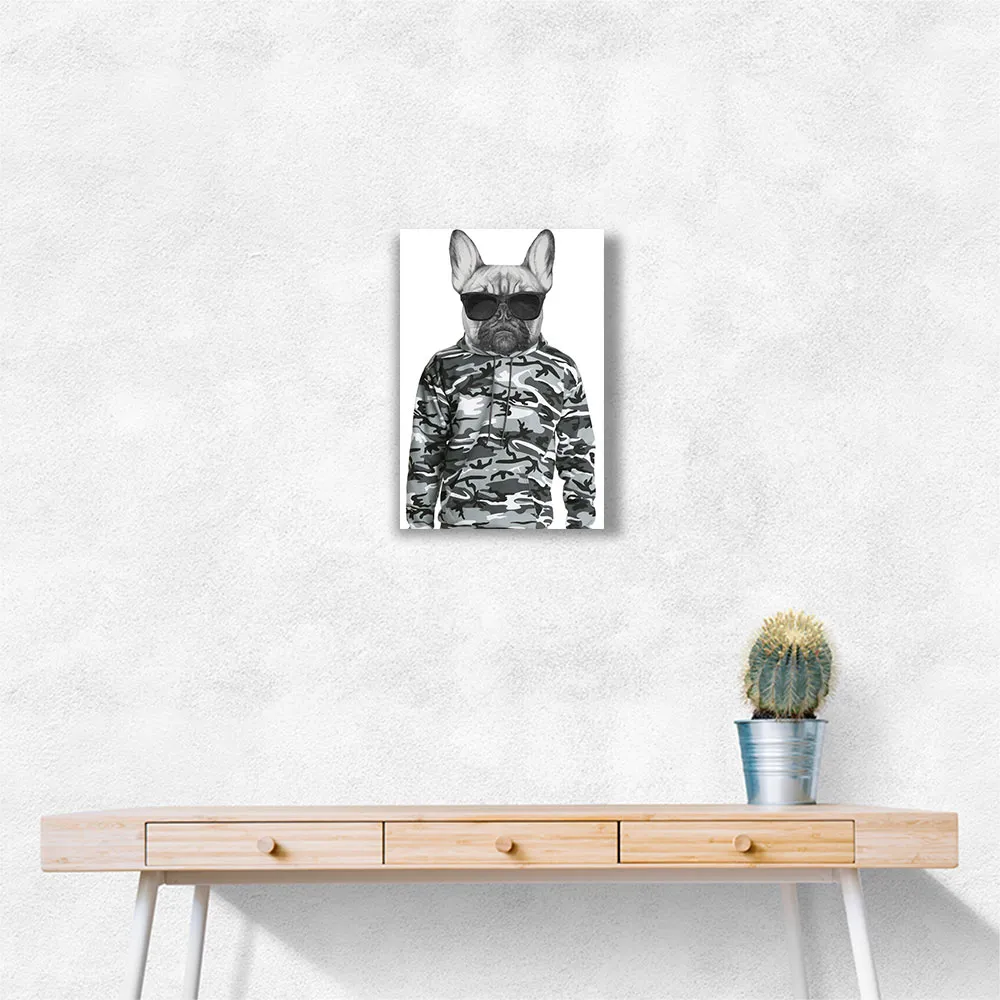 French Bulldog Wearing Sunglasses and Cammo Hoodie