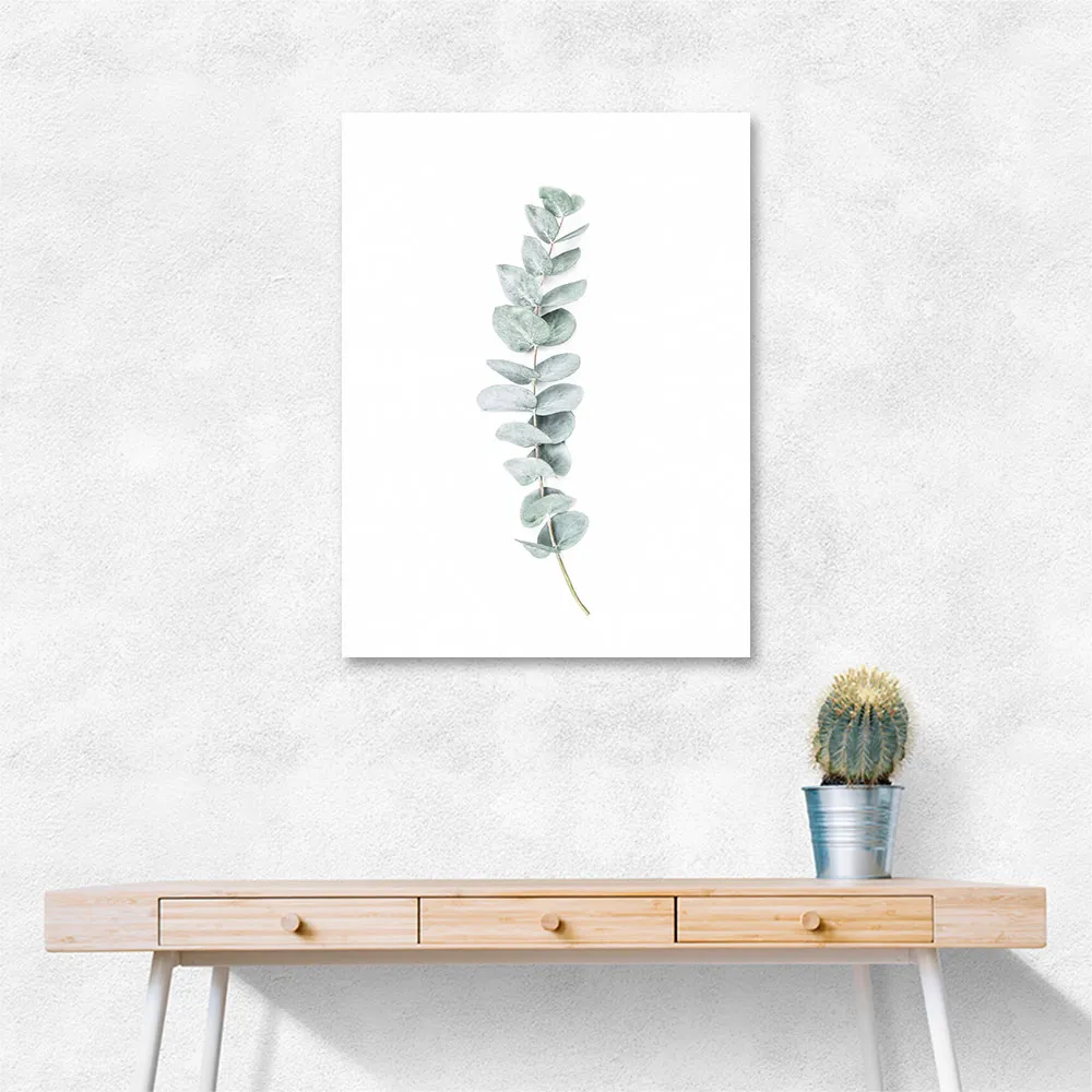 Eucalyptus II
