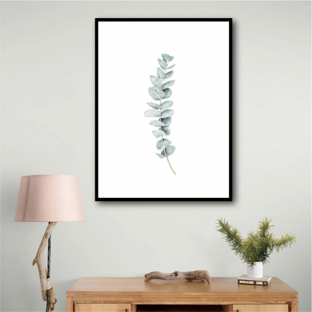 Eucalyptus II