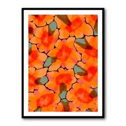 Orange Big Flowers