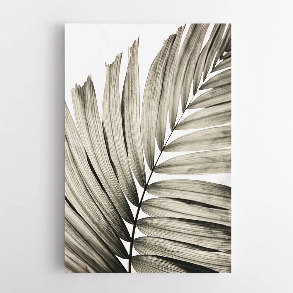 Palm Leaves 22 Wall Art