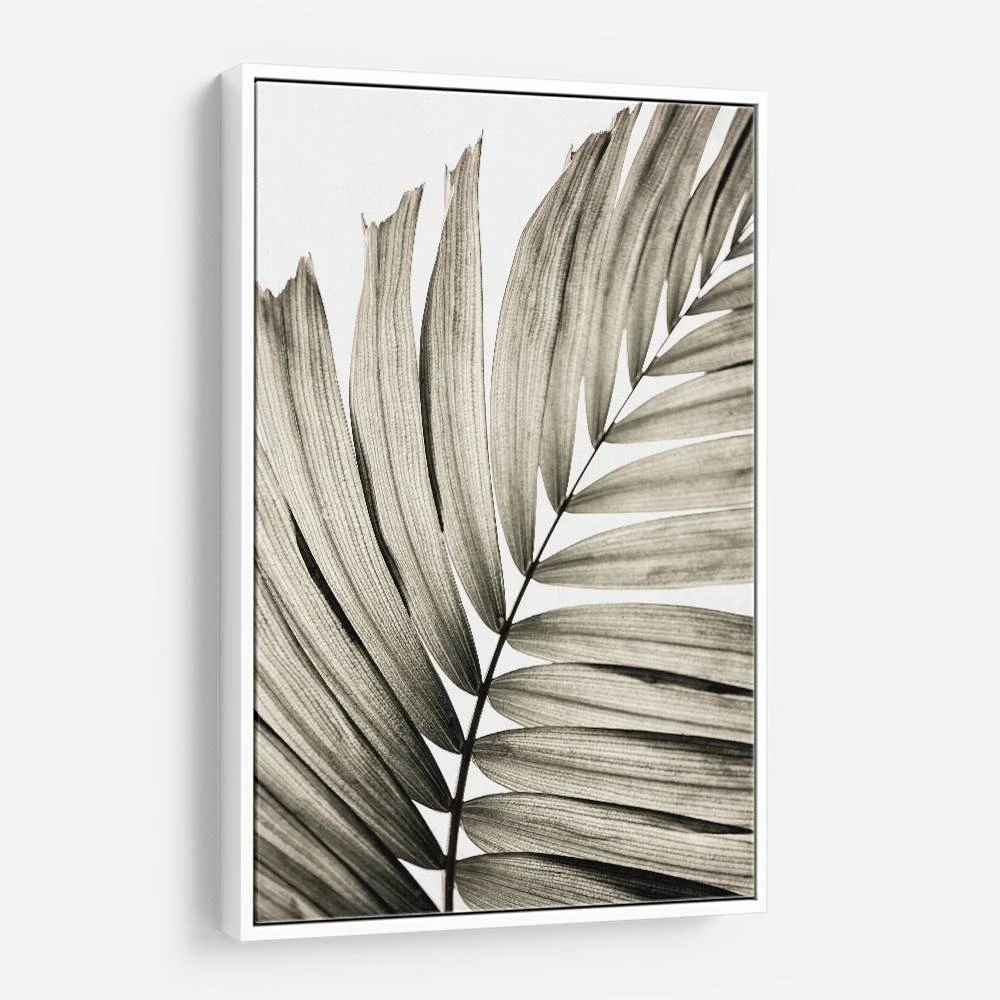 Palm Leaves 22 Wall Art