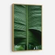 Leaves 15 Wall Art