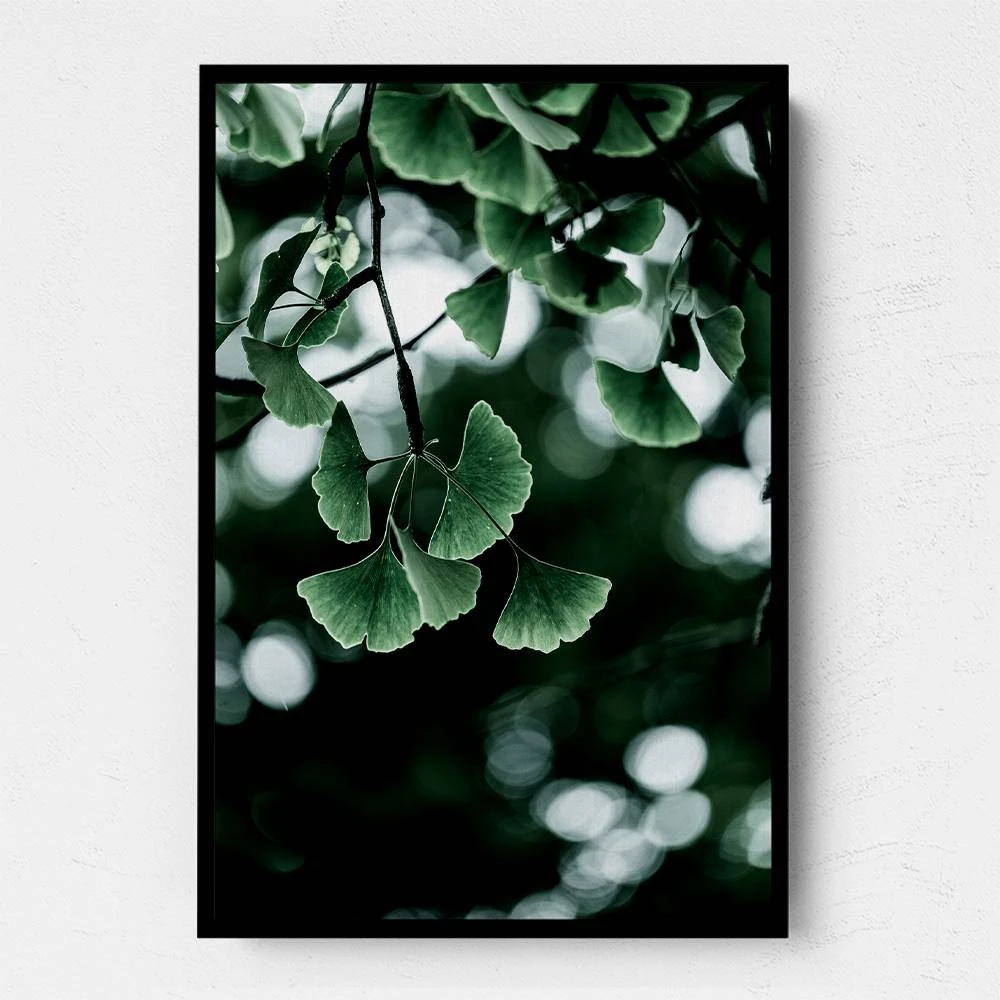Ginko 1 Wall Art